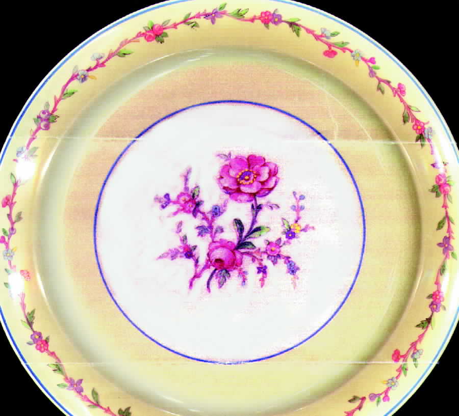 1860 Dinner Plate by Taylor, Smith & Taylor (Ts&T)-1