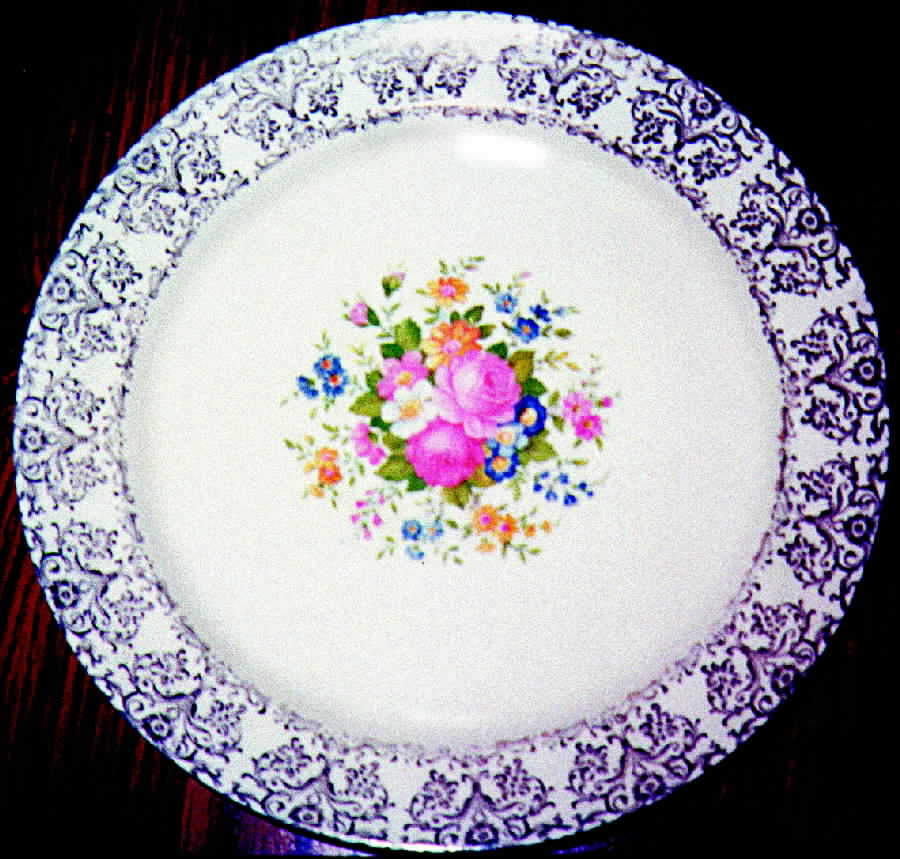 TST205 Dinner Plate by Taylor, Smith & Taylor (Ts&T)-1