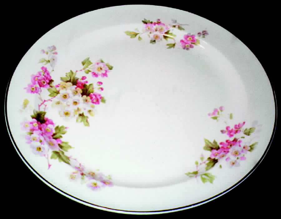 TST208 Dinner Plate by Taylor, Smith & Taylor (Ts&T)-1
