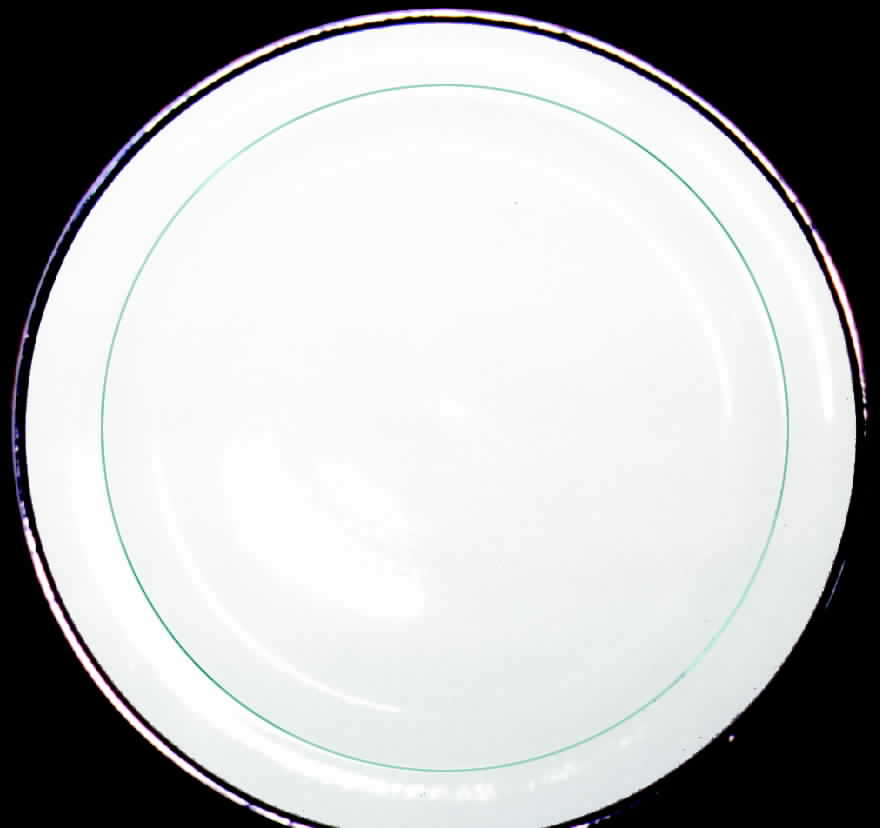 TST210 Dinner Plate by Taylor, Smith & Taylor (Ts&T)-1