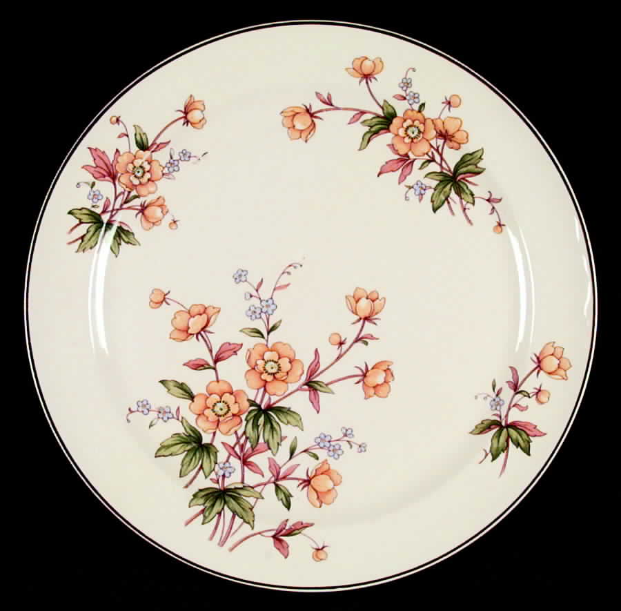 TST237 Dinner Plate by Taylor, Smith & Taylor (Ts&T)-1