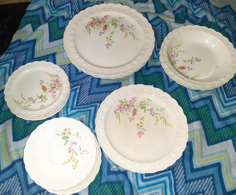TST249 Dinner Plate by Taylor, Smith & Taylor (Ts&T)-1