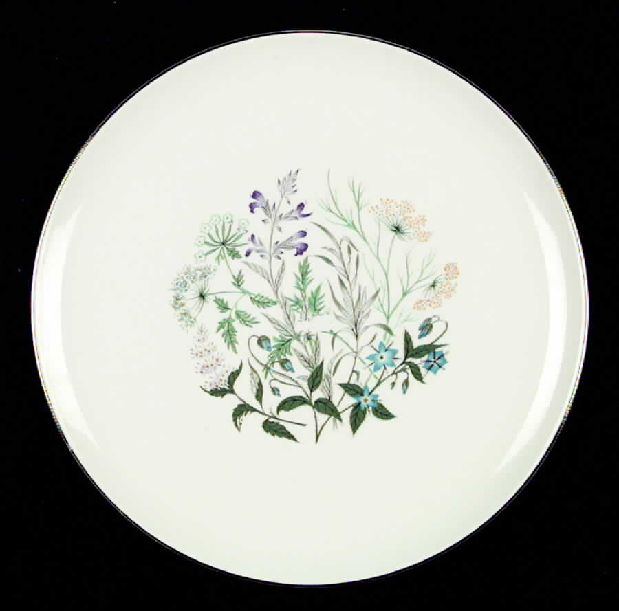 TST252 Dinner Plate by Taylor, Smith & Taylor (Ts&T)-1