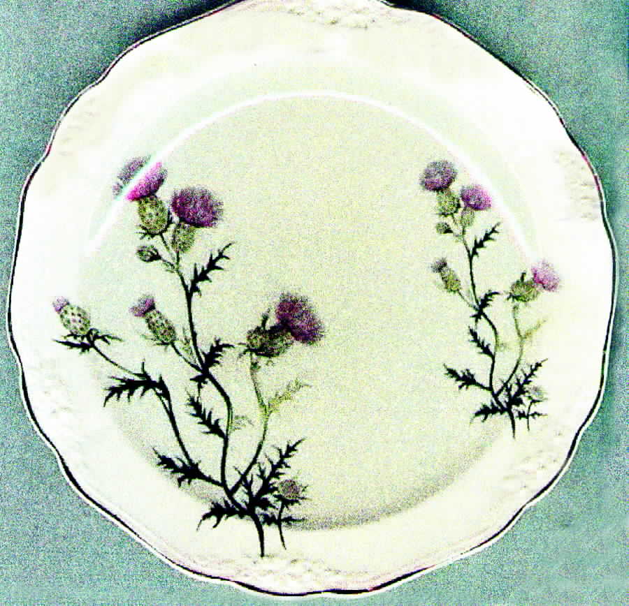 TST261 Dinner Plate by Taylor, Smith & Taylor (Ts&T)-1