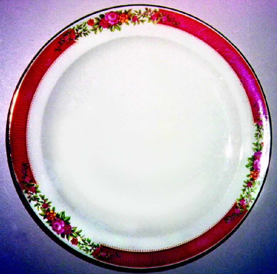 TST267 Dinner Plate by Taylor, Smith & Taylor (Ts&T)-1