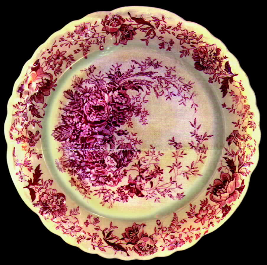 TST268 Luncheon Plate by Taylor, Smith & Taylor (Ts&T)-1