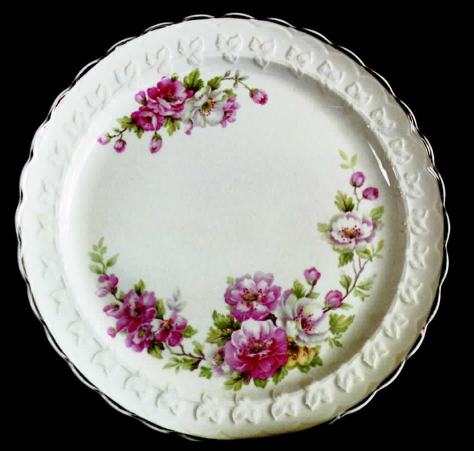 TST61 Dinner Plate by Taylor, Smith & Taylor (Ts&T)-1