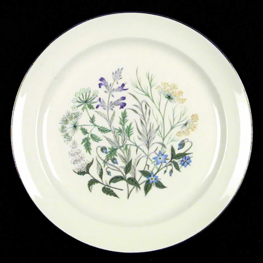 TST62 Dinner Plate by Taylor, Smith & Taylor (Ts&T)-1