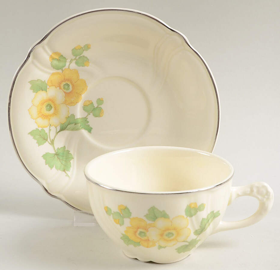 TST66 Flat Cup & Saucer Set by Taylor, Smith & Taylor (Ts&T)-1