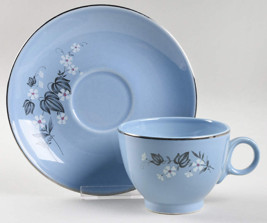 TST72 Footed Cup & Saucer Set by Taylor, Smith & Taylor (Ts&T)-1