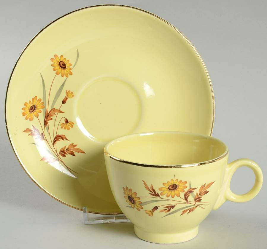 TST90 Flat Cup & Saucer Set by Taylor, Smith & Taylor (Ts&T)-1