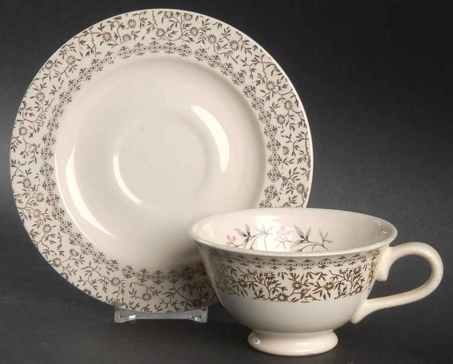 TST99 Footed Cup & Saucer Set by Taylor, Smith & Taylor (Ts&T)-1