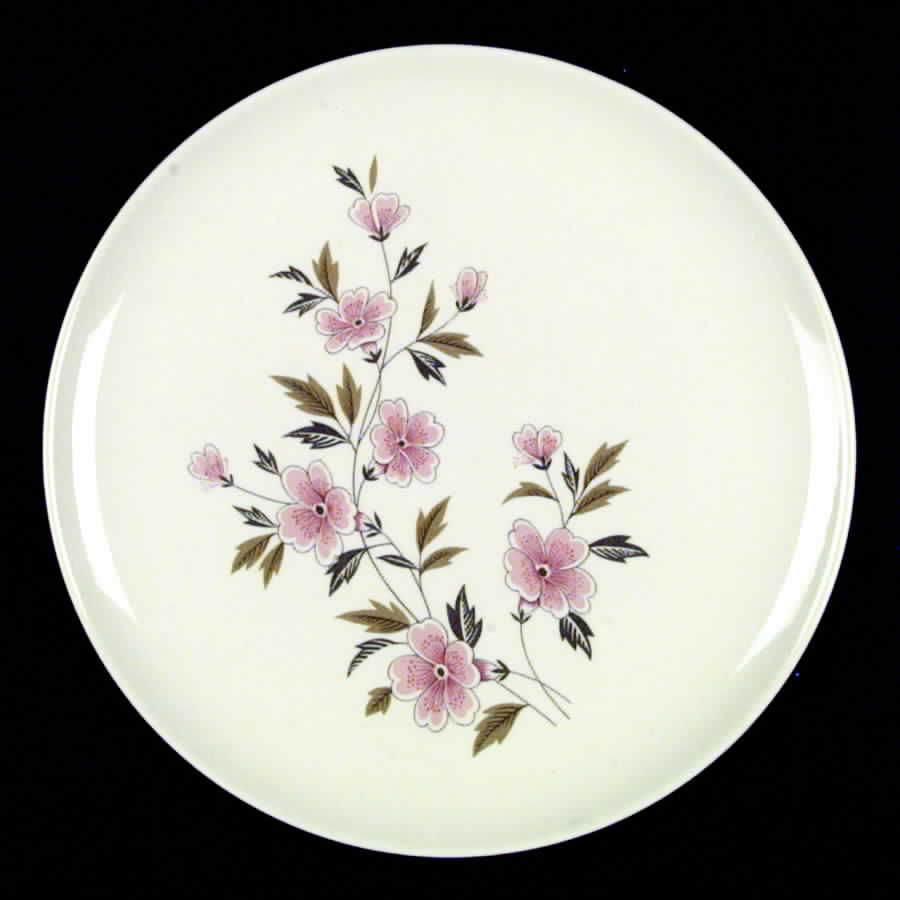 Wild Quince Dinner Plate by Taylor, Smith & Taylor (Ts&T)-1