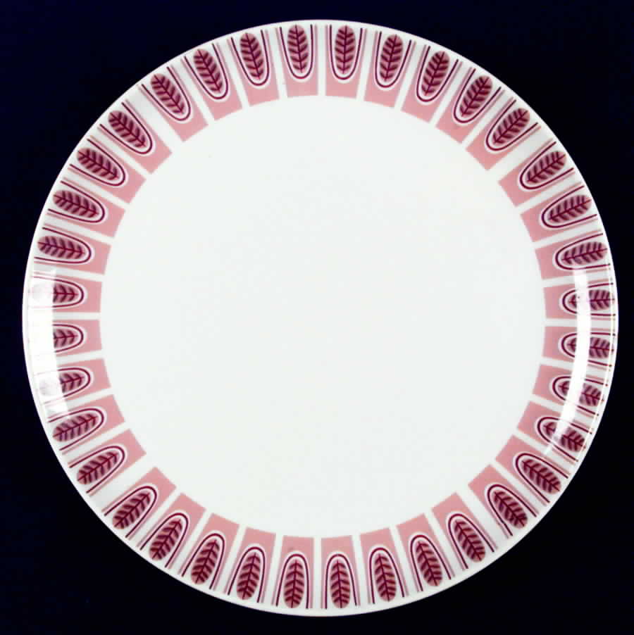 Wild Rice Dinner Plate by Taylor, Smith & Taylor (Ts&T)-1