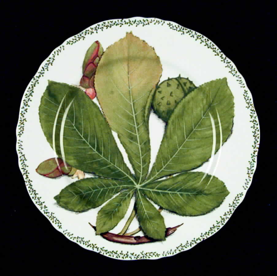 Natura Bread & Butter Plate by Taitu-1