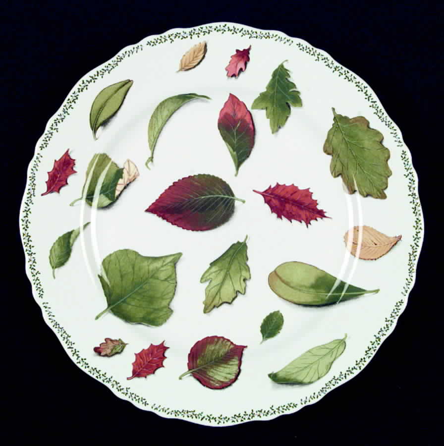 Natura Dinner Plate by Taitu-1