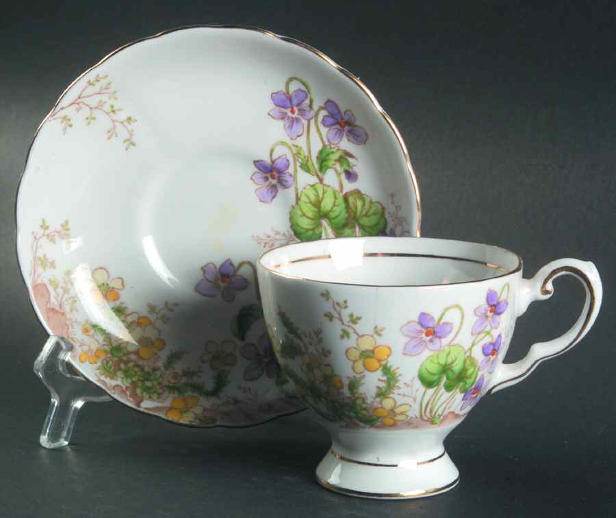 Alpine Flowers Footed Cup & Saucer Set by Tuscan - Royal Tuscan-1