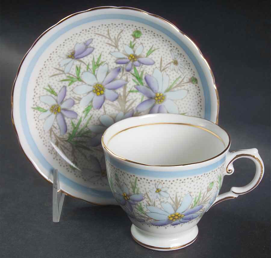 Devon Footed Cup & Saucer Set by Tuscan - Royal Tuscan-1