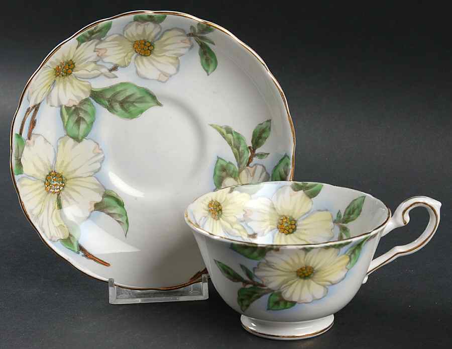 Dogwood Footed Cup & Saucer Set by Tuscan - Royal Tuscan-1