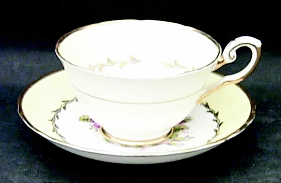Dovedale Footed Cup & Saucer Set by Tuscan - Royal Tuscan-1