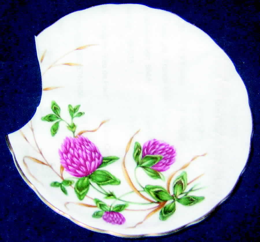 Four Leaf Clover Saucer by Tuscan - Royal Tuscan-1