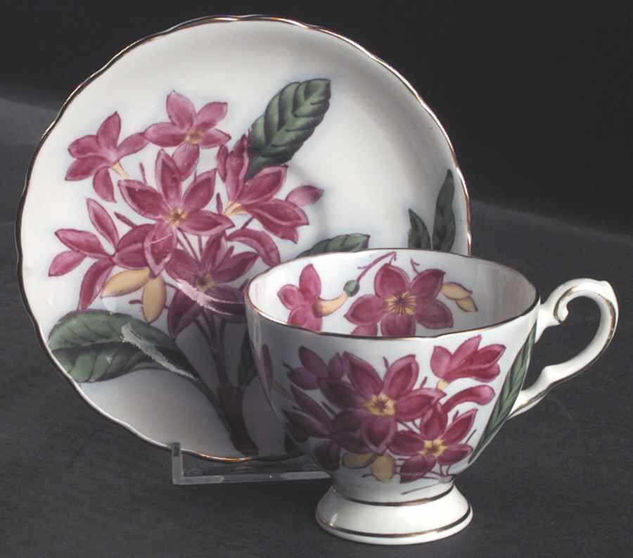Hawaiian Flowers Footed Cup & Saucer Set by Tuscan - Royal Tuscan-1