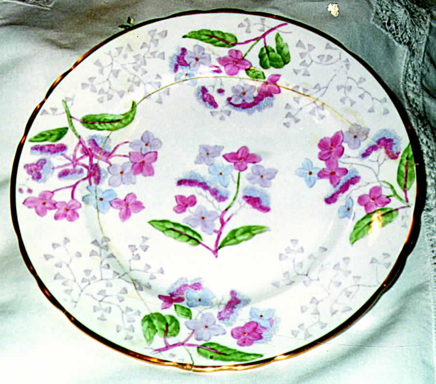 Lorndale Dinner Plate by Tuscan - Royal Tuscan-1