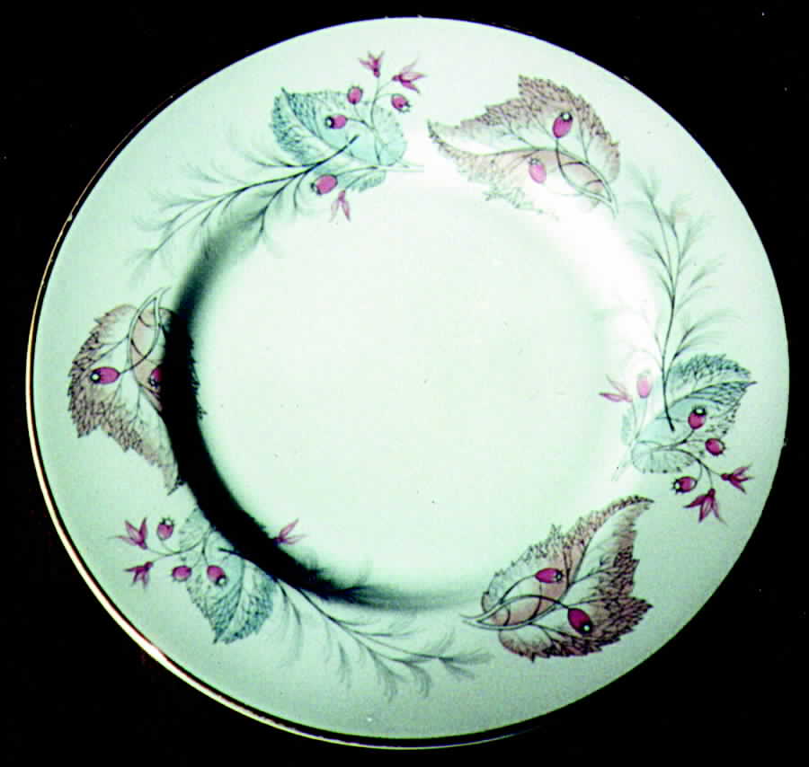 Sherwood Dinner Plate by Tuscan - Royal Tuscan-1