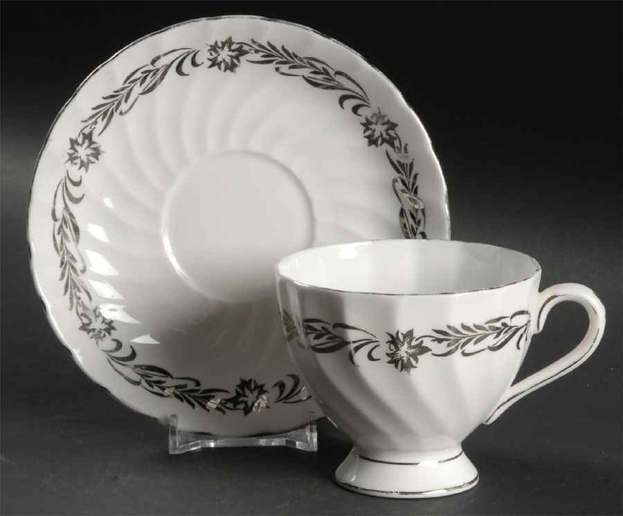 Silver Heritage Footed Cup & Saucer Set by Tuscan - Royal Tuscan-1