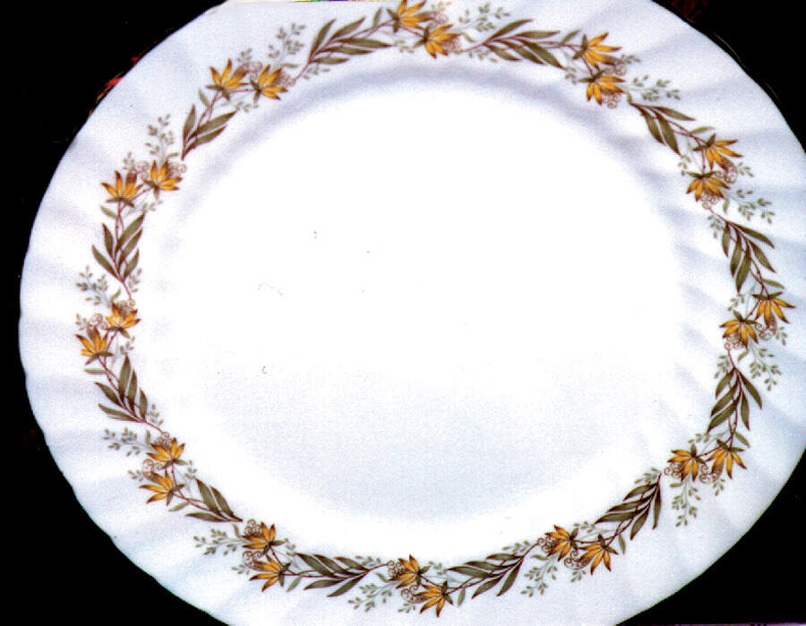 TUS17 Dinner Plate by Tuscan - Royal Tuscan-1