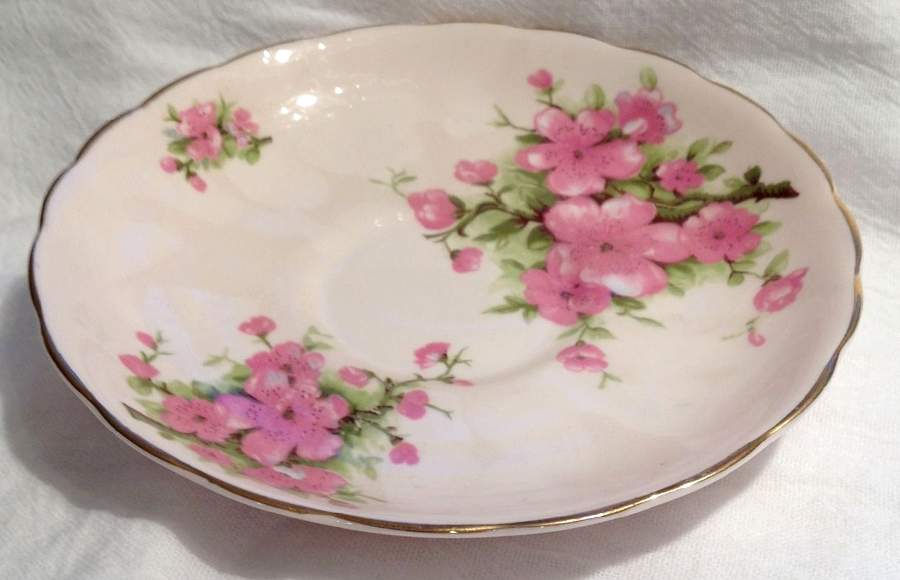 TUS3 Saucer by Tuscan - Royal Tuscan-1