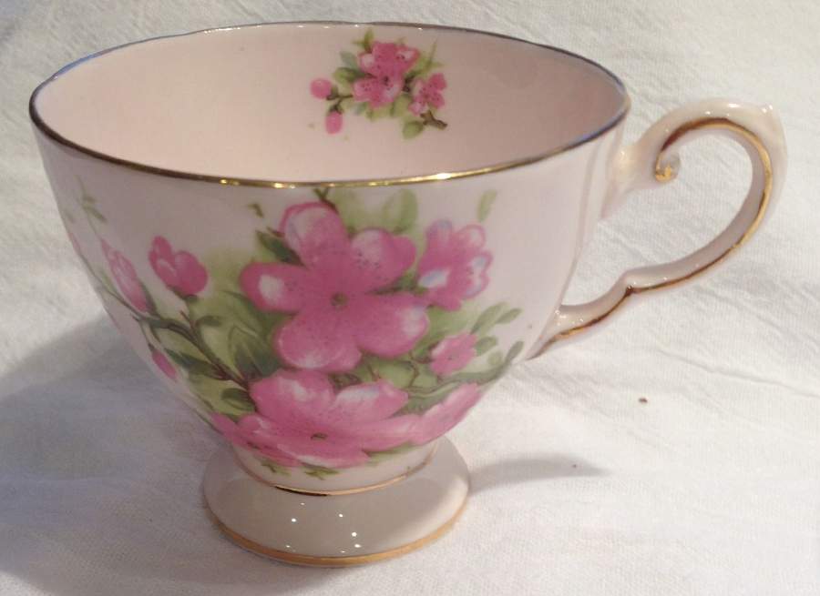 TUS3 Footed Cup by Tuscan - Royal Tuscan-1