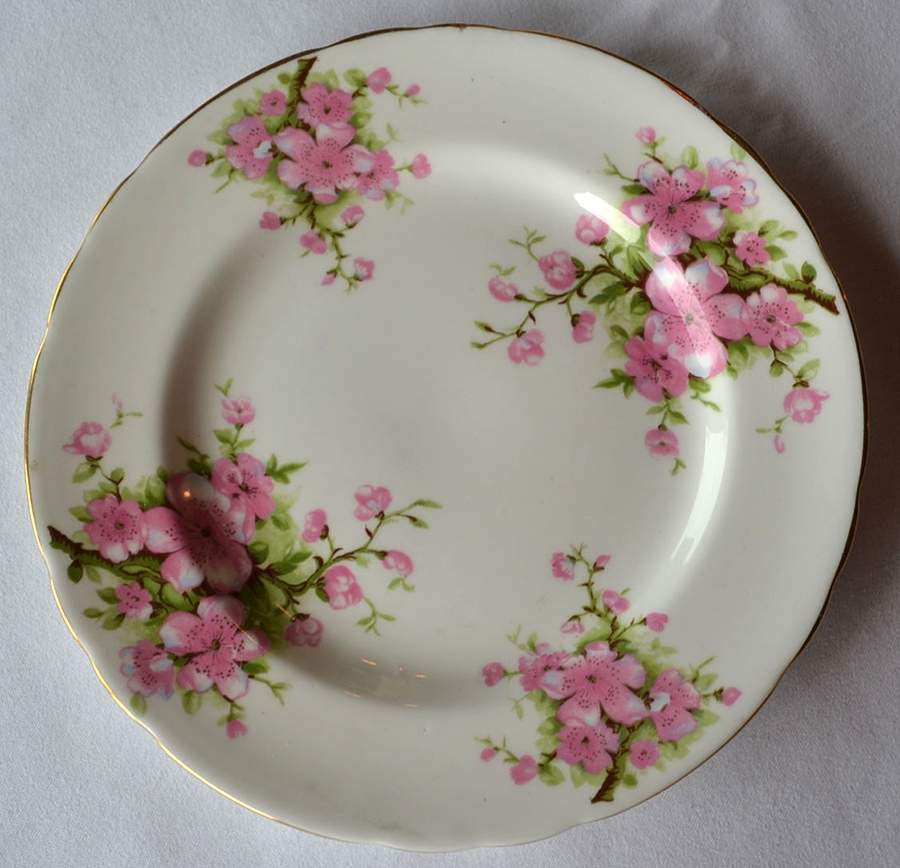 TUS3 Salad Plate by Tuscan - Royal Tuscan-1