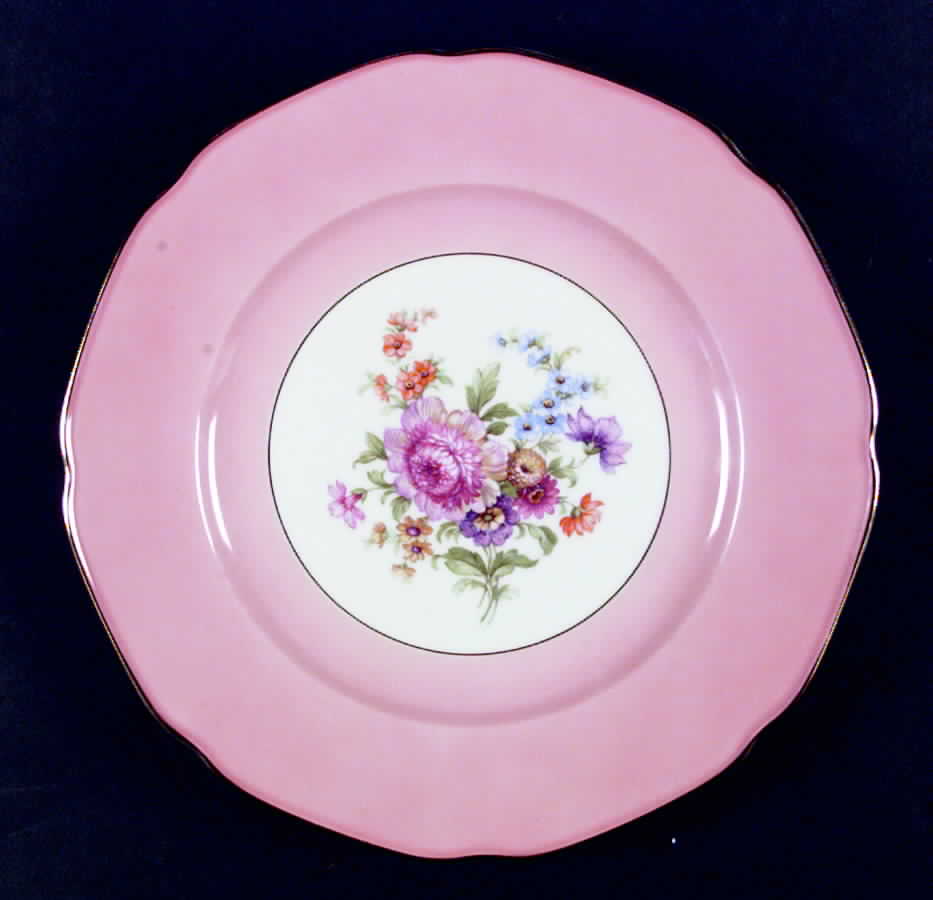 TIR121 Dinner Plate by Tirschenreuth-1