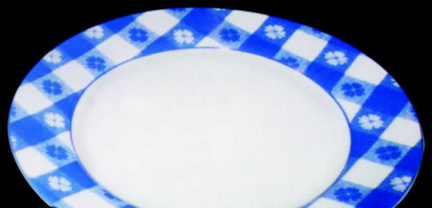 Picnic Blue Dinner Plate by Ten Strawberry Street-1
