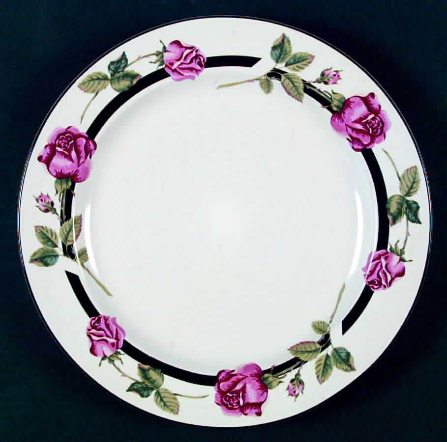 TIE17 Dinner Plate by Tienshan-1