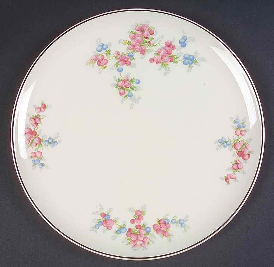 TST281 Dinner Plate by Taylor, Smith & Taylor (Ts&T)-1