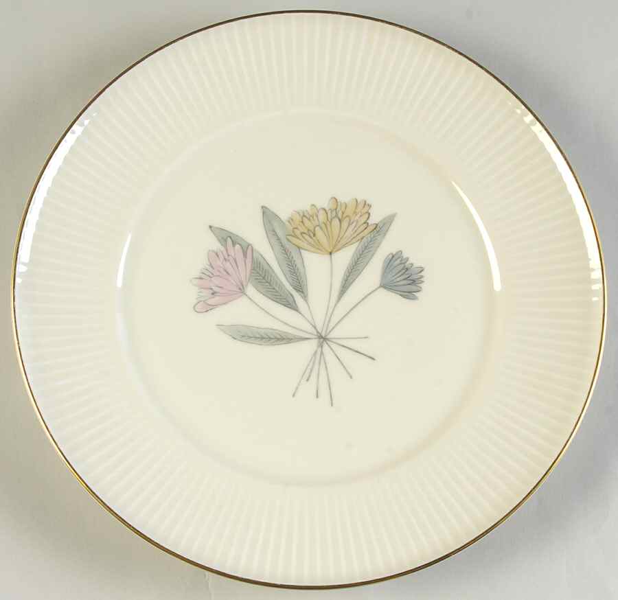 07489 Dinner Plate by Thomas-1