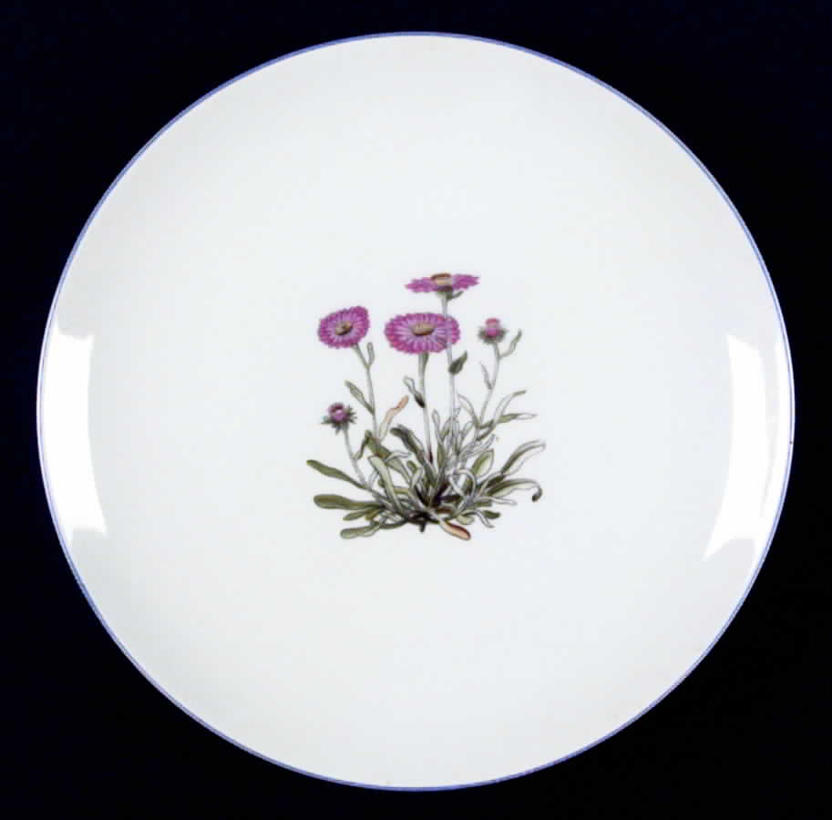 TAK2 Salad Plate by Takahashi-1