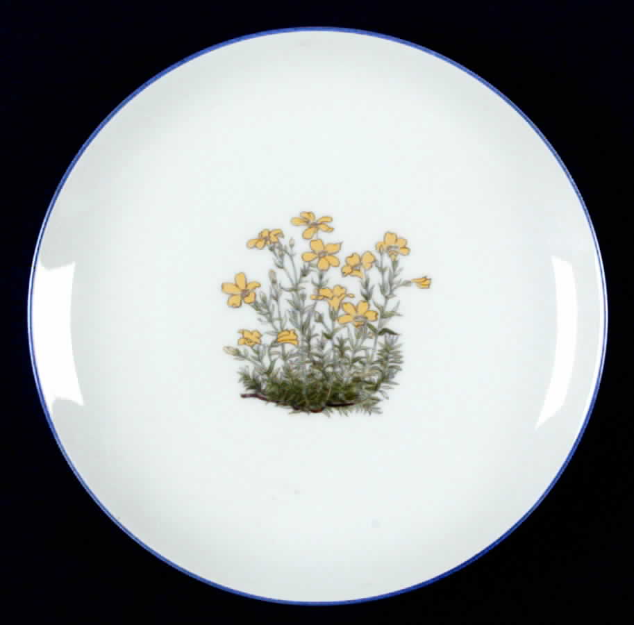 TAK2 Salad Plate by Takahashi-1
