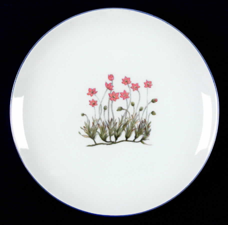 TAK2 Salad Plate by Takahashi-1
