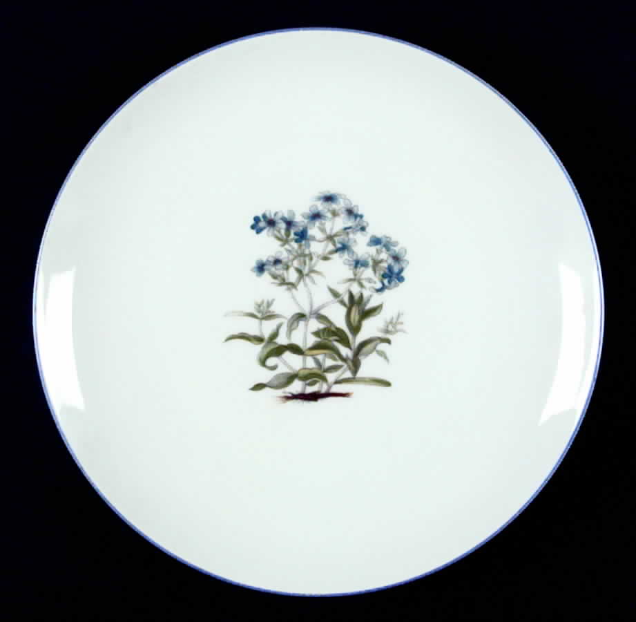 TAK2 Salad Plate by Takahashi-1