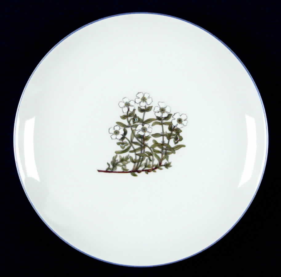 TAK2 Salad Plate by Takahashi-1