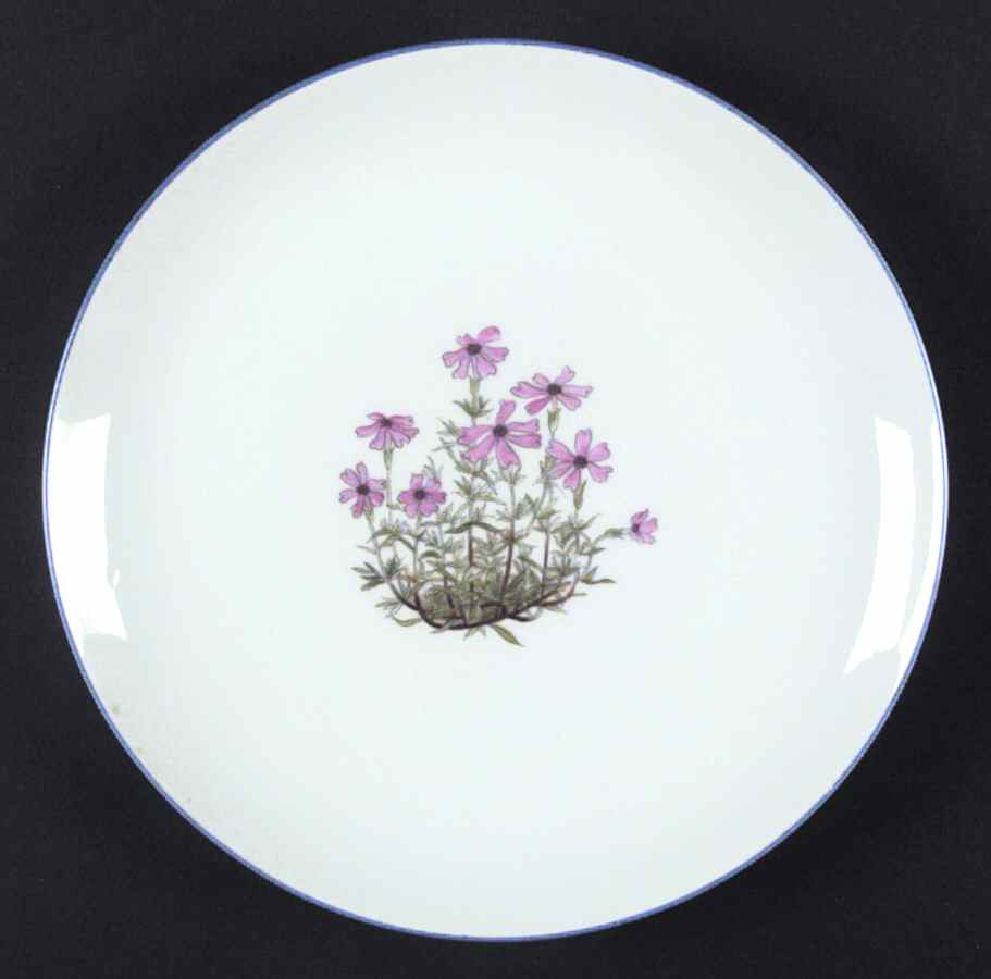 TAK2 Salad Plate by Takahashi-1