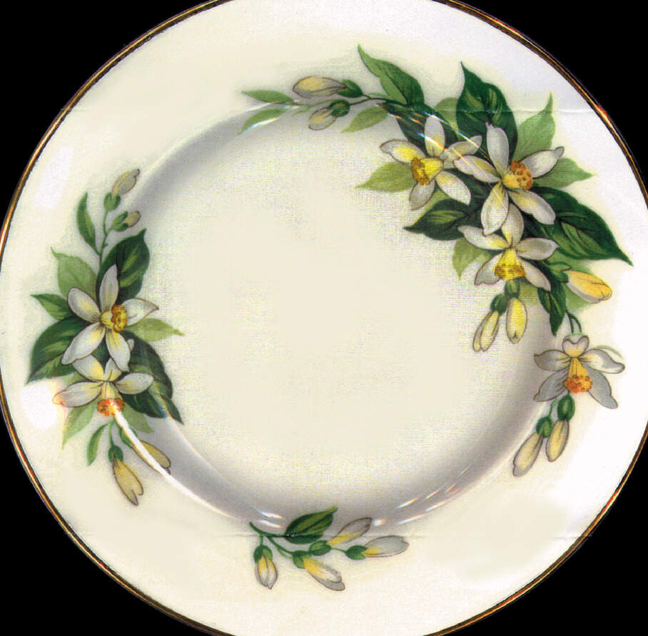 TUS28 Bread & Butter Plate by Tuscan - Royal Tuscan-1