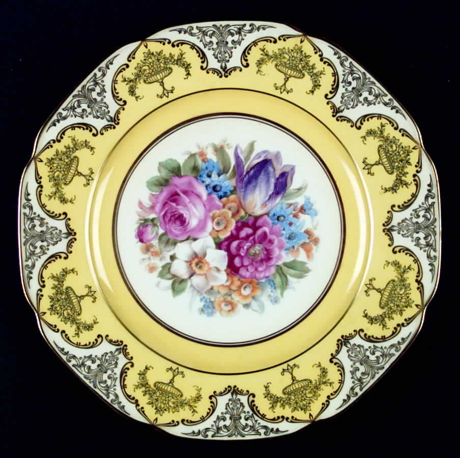 TIR122 Dinner Plate by Tirschenreuth-1