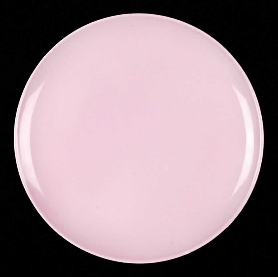 TST283 Dinner Plate by Taylor, Smith & Taylor (Ts&T)-1