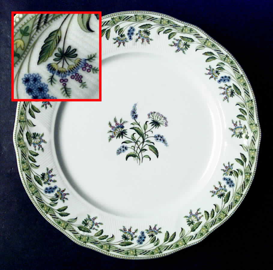 Marjolaine Dinner Plate by Royal Limoges-1