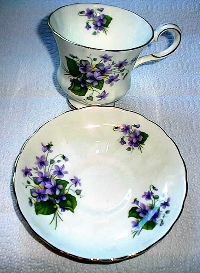 D3189 Footed Cup & Saucer Set by Tuscan - Royal Tuscan-1