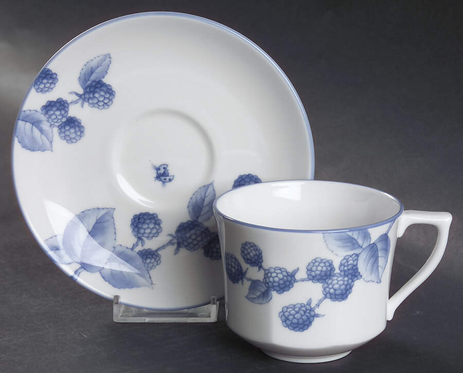 Nature Flat Cup & Saucer Set by Tiffany-1